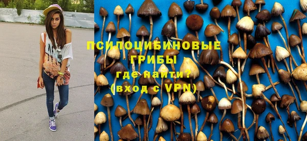 тгк Гусь-Хрустальный