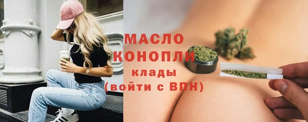 тгк Гусь-Хрустальный