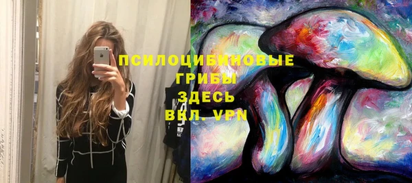 тгк Гусь-Хрустальный