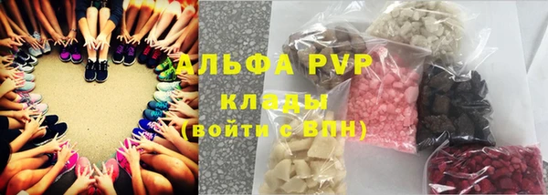 ECSTASY Гусев