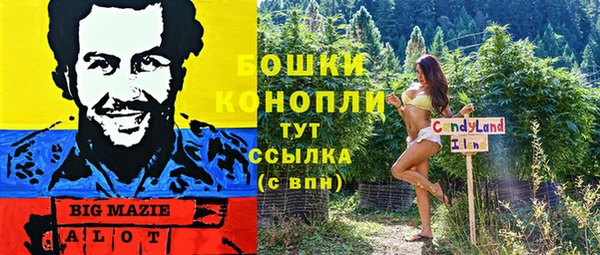 COCAINE Гусиноозёрск