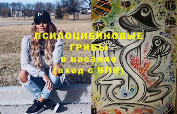 ECSTASY Гусев