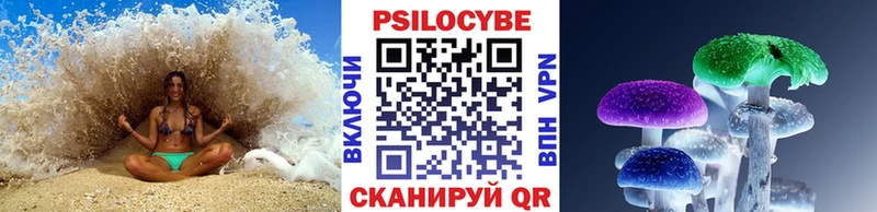 Купить где  Спасск-Дальний  Псилоцибиновые грибы Cubensis 
