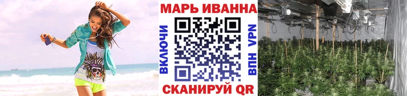 Купить где  Спасск-Дальний  Каннабис White Widow 